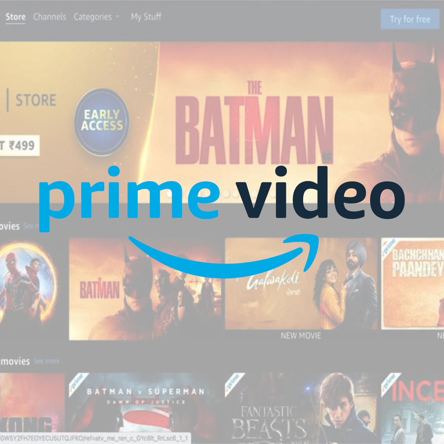 Prime Video Account